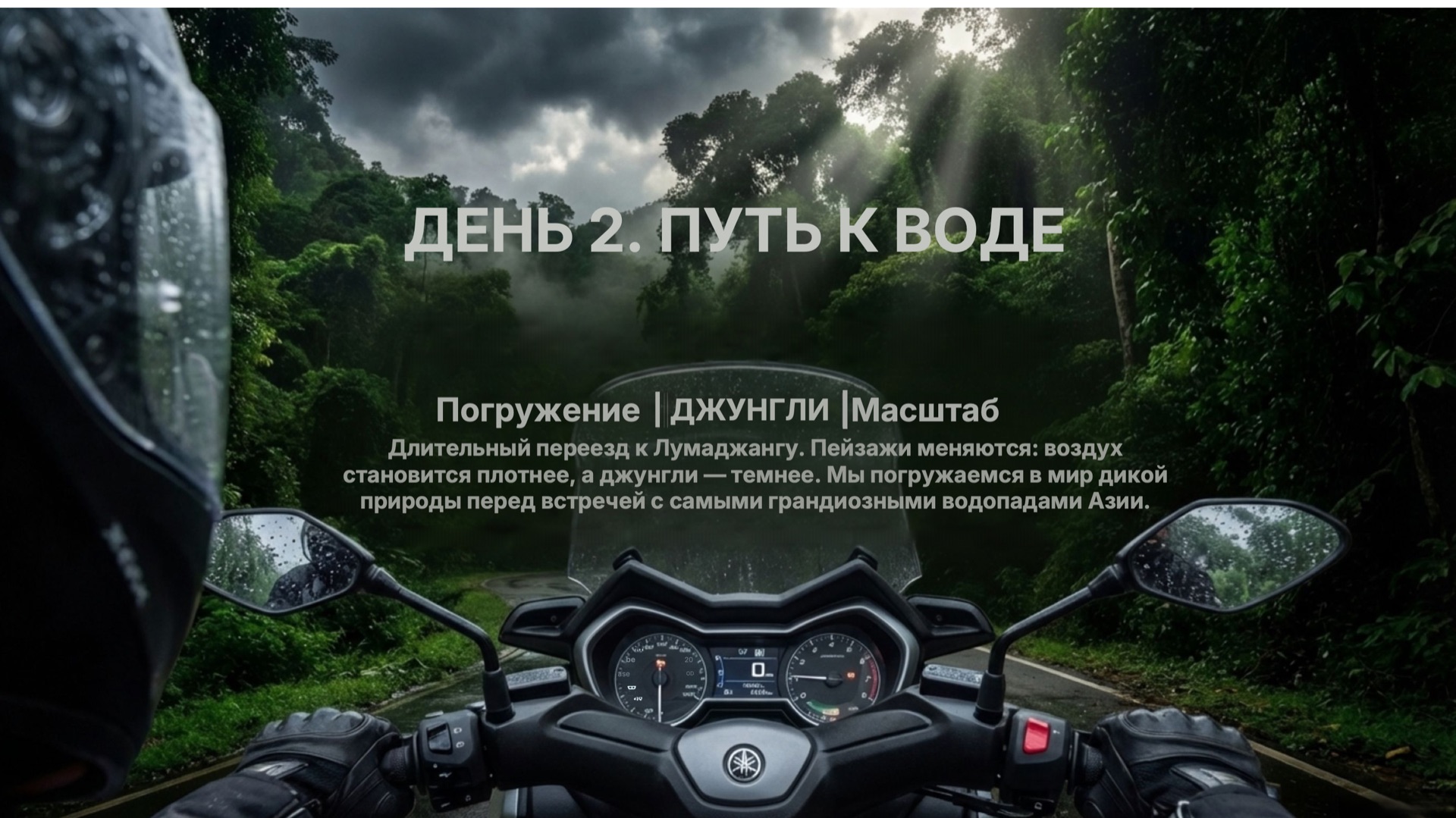 Джунгли Явы