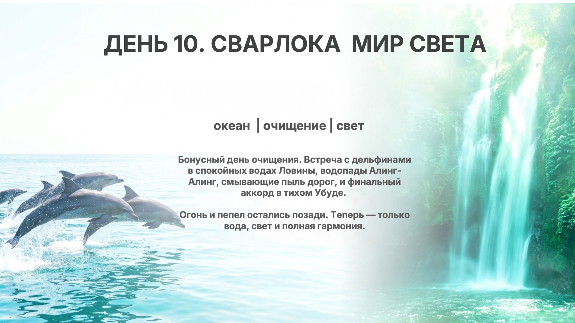 Дельфины Ловины